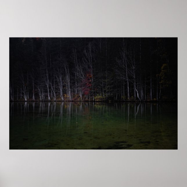 Póster Paisaje arbolado en el lago (Frente)