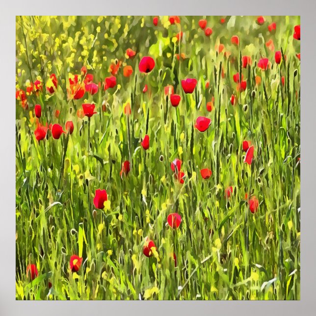 Póster Paisaje artístico de adormidera (Frente)