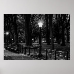 Póster Paisaje blanco y negro Foto de Central Park