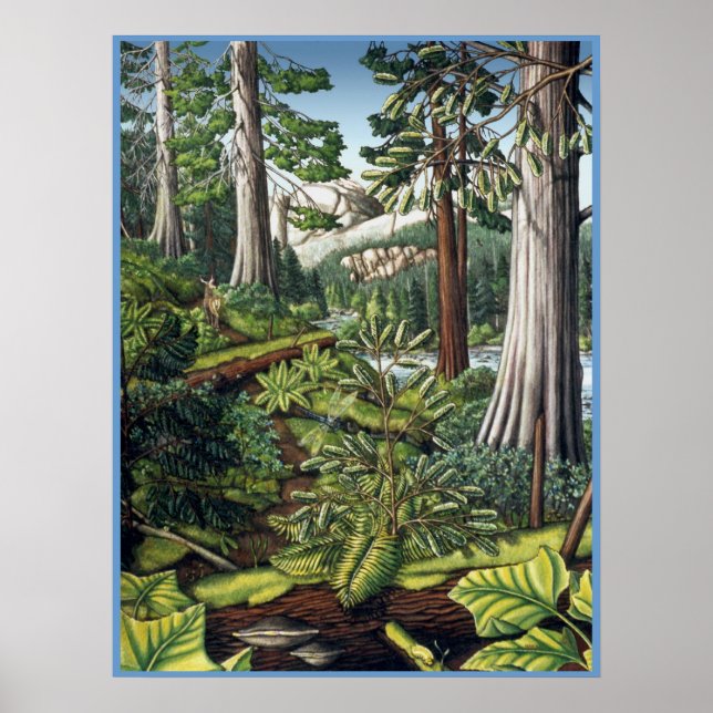 Póster Paisaje canadiense pintado Poster por Kim Hunter (Frente)