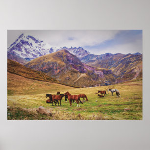 Póster Paisaje con caballos en las montañas georgianas