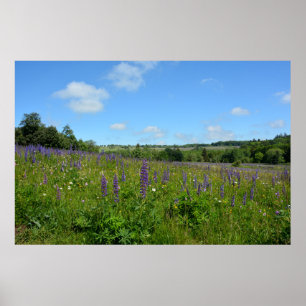 Póster Paisaje con clavijas -