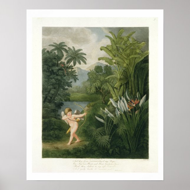 Póster Paisaje con Cupido apuntando una flecha a un loro  (Frente)