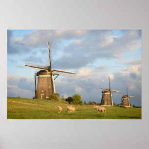 Póster Paisaje con molinos de viento y ovejas