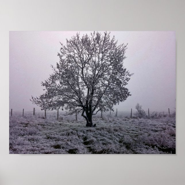 Póster Paisaje de árbol de invierno (Frente)