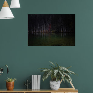 Póster Paisaje de árboles en el lago
