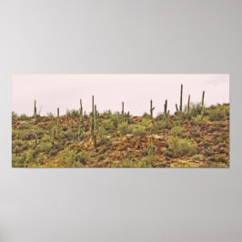 Póster Paisaje de cactus de Arizona