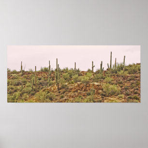Póster Paisaje de cactus de Arizona
