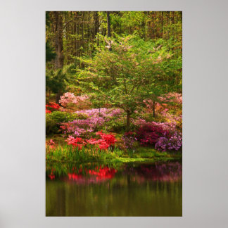 Póster Paisaje de Callaway