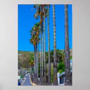 Póster Paisaje de Ciudad del Cabo Fresnaye Sudáfrica