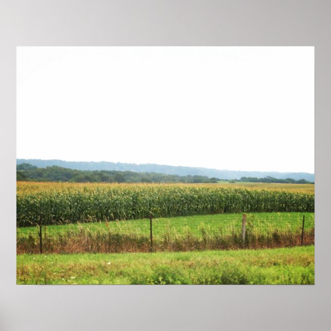 Póster Paisaje de Cornfield con árboles en el horizonte 1 (Frente)