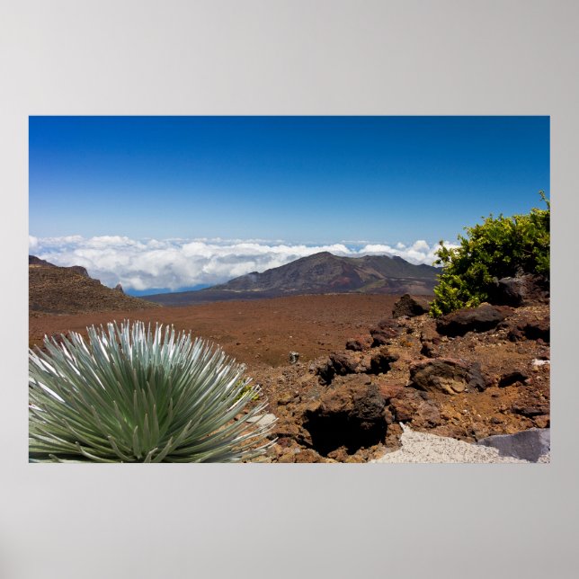 Póster Paisaje de espadas plateadas (Frente)