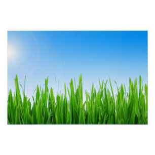 Póster Paisaje de hierba verde cielo azul-10826