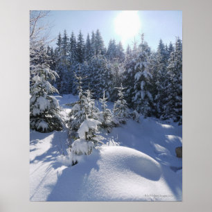Póster Paisaje de invierno frío y nevado 2