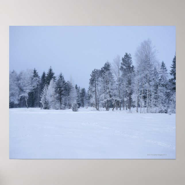 Póster Paisaje de invierno frío y nevado 8 (Frente)