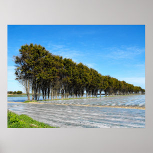 Póster Paisaje de Jersey en primavera