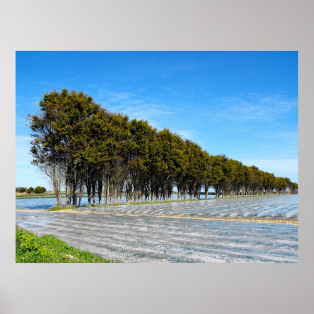 Póster Paisaje de Jersey en primavera (Frente)