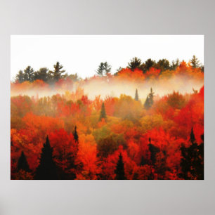 Póster Paisaje de la escena de los árboles del