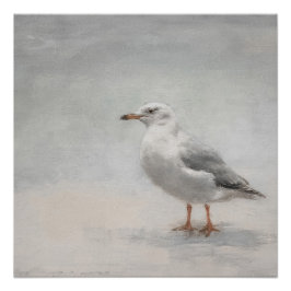 Póster Paisaje de la gaviota costera