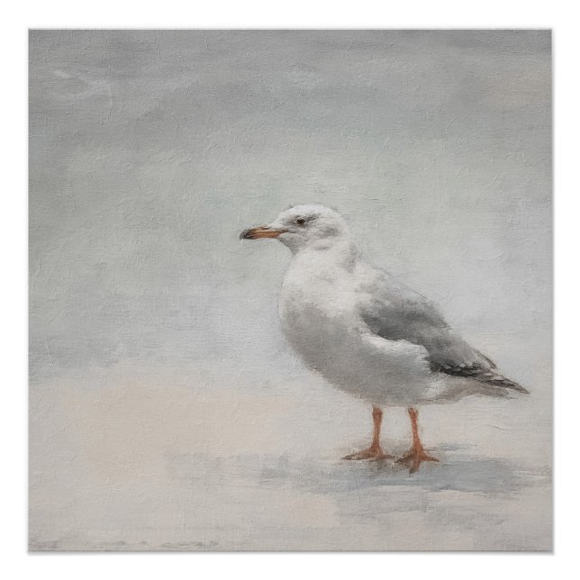 Póster Paisaje de la gaviota costera (Anverso)