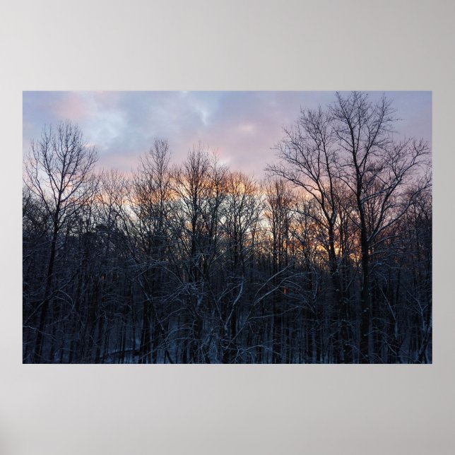 Póster Paisaje de la Naturaleza del Sol Invierno I Pastel (Frente)