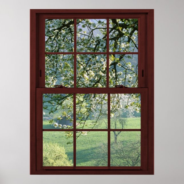 Póster Paisaje de la ventana de imágenes - Flores de cere (Frente)