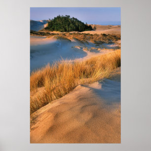 Póster Paisaje de las dunas de arena de Oregón