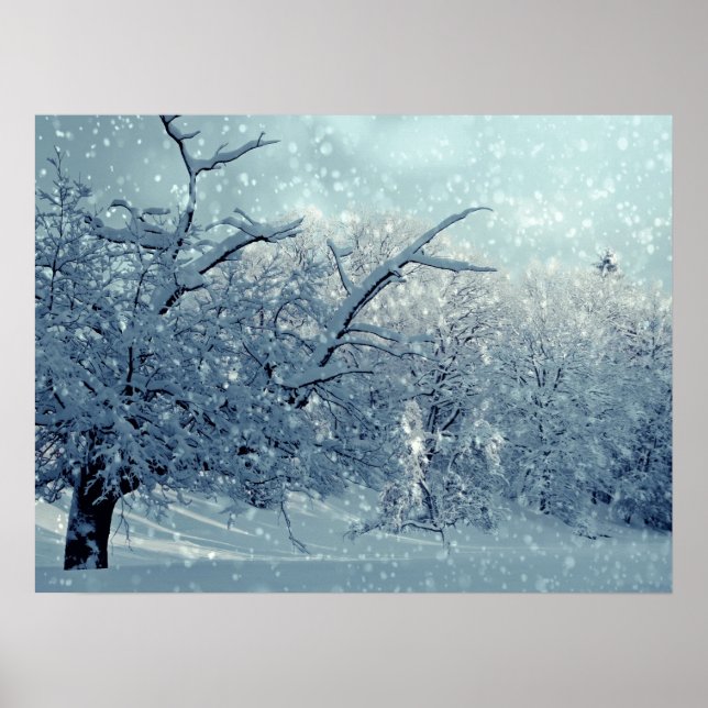 Póster Paisaje de los árboles de invierno (Frente)