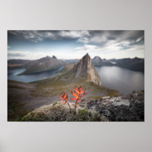 Póster Paisaje de Noruega