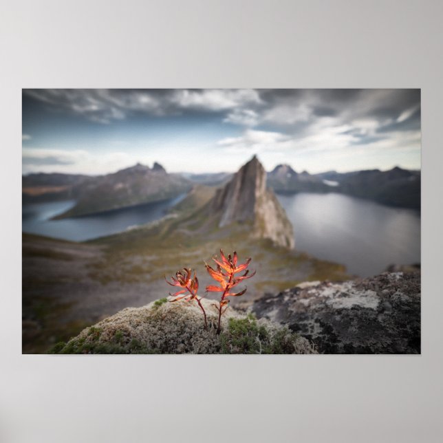 Póster Paisaje de Noruega (Frente)