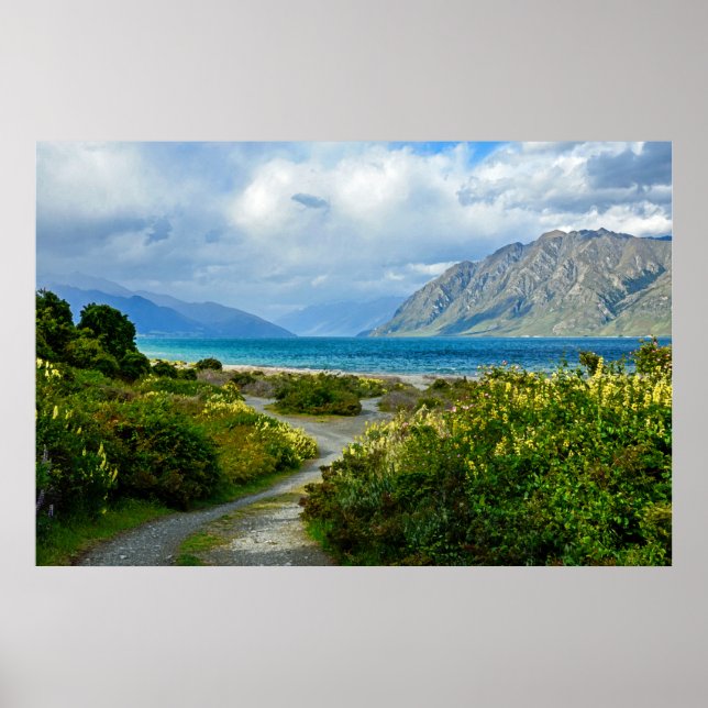 Póster Paisaje de Nueva Zelanda (Frente)