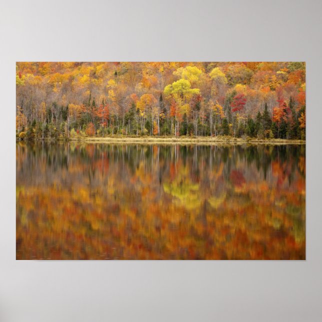 Póster paisaje de otoño con lago, Vermont, EE. UU. (Frente)