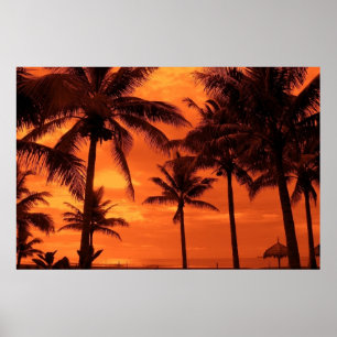 Póster Paisaje de Palm Trees Tropical Sunset Summer Desig