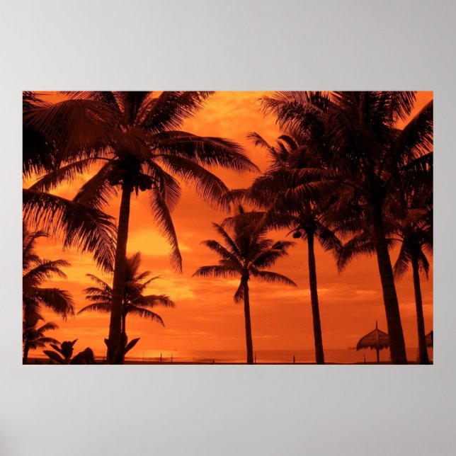 Póster Paisaje de Palm Trees Tropical Sunset Summer Desig (Frente)