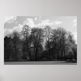 Póster Paisaje de Park