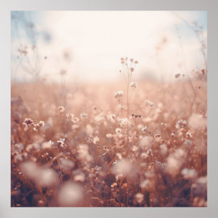Póster Paisaje de sueños de flores silvestres