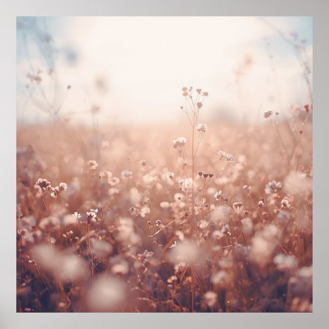 Póster Paisaje de sueños de flores silvestres  (Frente)
