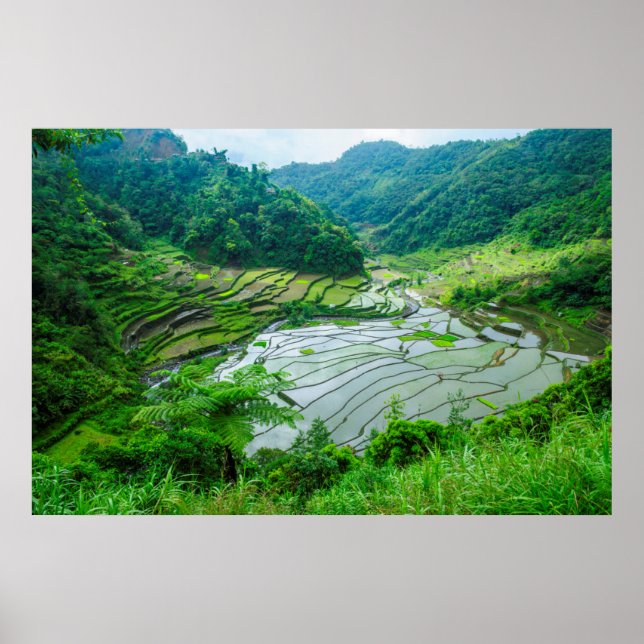 Póster Paisaje de terraza de arroz, Filipinas (Frente)