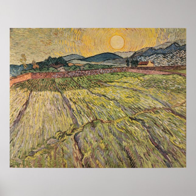 Póster Paisaje de Van Gogh con campos de flores (1899) (Frente)