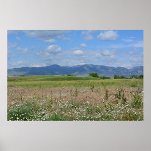 Póster Paisaje de Verano Colorado