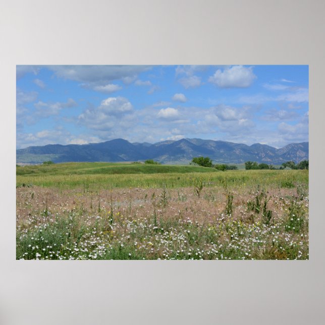 Póster Paisaje de Verano Colorado (Frente)