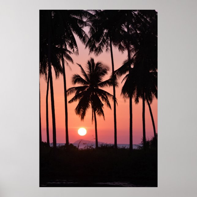 Póster Paisaje del árbol de palmas de coco (Frente)