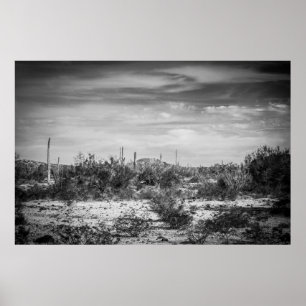 Póster Paisaje del cactus