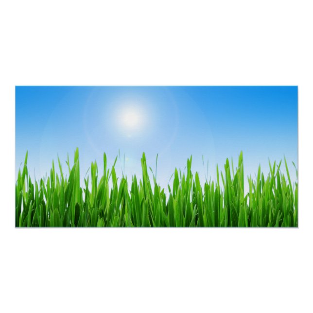 Póster Paisaje del cielo azul de la hierba verde-10826 (Anverso)