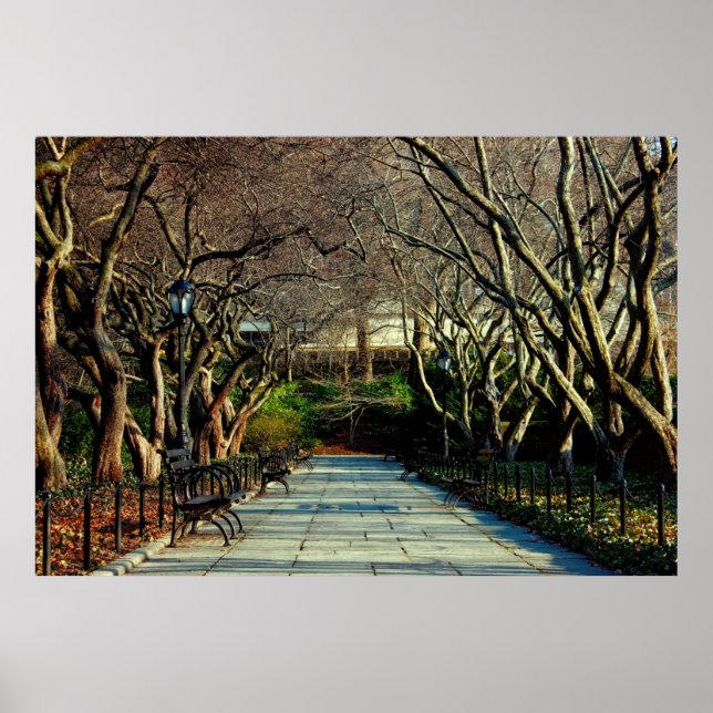 Póster Paisaje del Conservatorio de Central Park Foto (Frente)