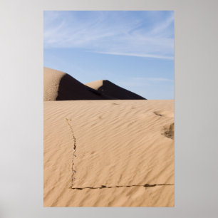 Póster Paisaje del desierto