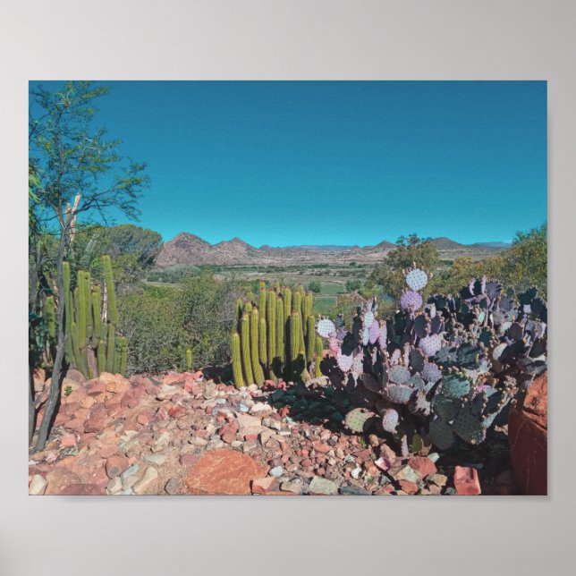 Póster Paisaje del desierto de África Naturaleza Cactus P (Frente)