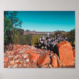 Póster Paisaje del desierto de África Naturaleza Cactus P