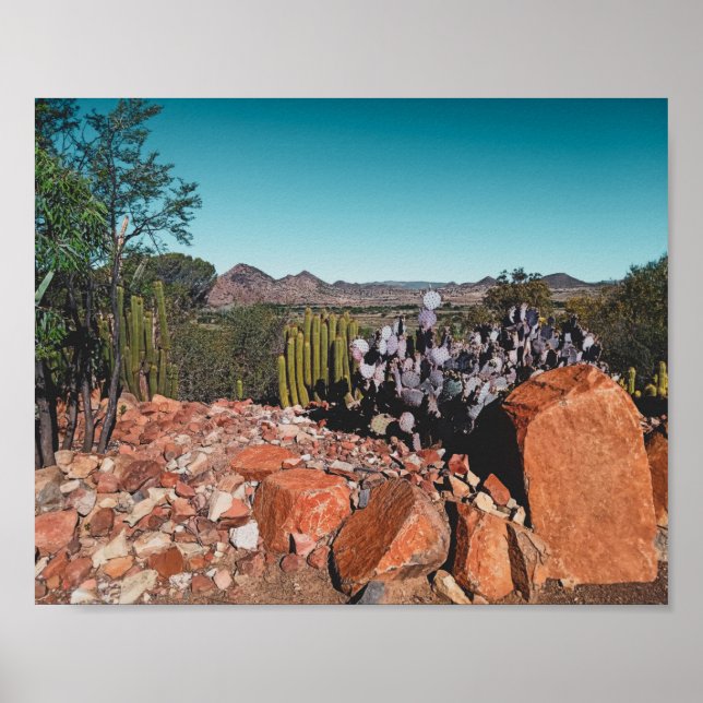 Póster Paisaje del desierto de África Naturaleza Cactus P (Frente)