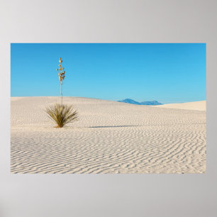 Póster Paisaje del desierto de Arenas Blancas y planta de